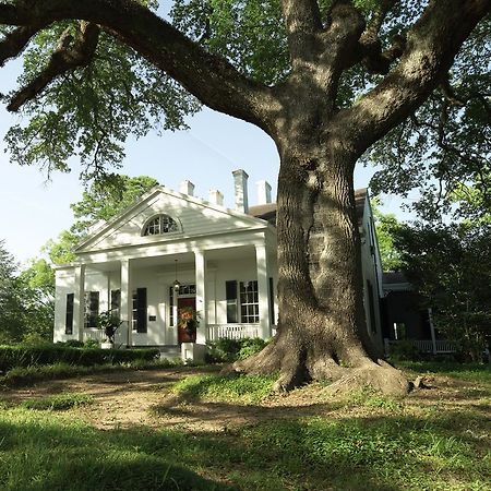 Twin Oaks Inn Natchez Buitenkant foto