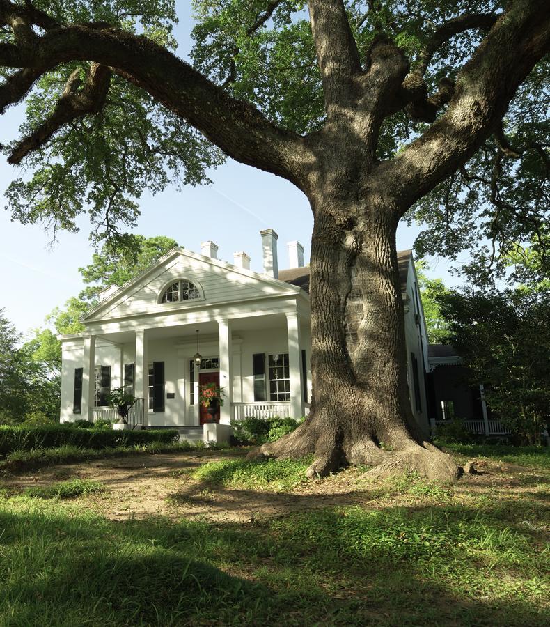 Twin Oaks Inn Natchez Buitenkant foto